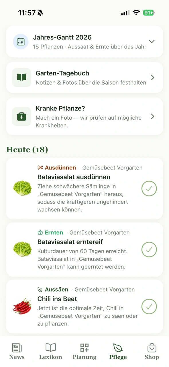 Pflege & Aufgaben